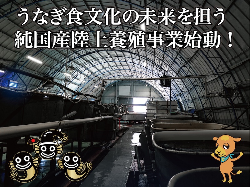 案件画像